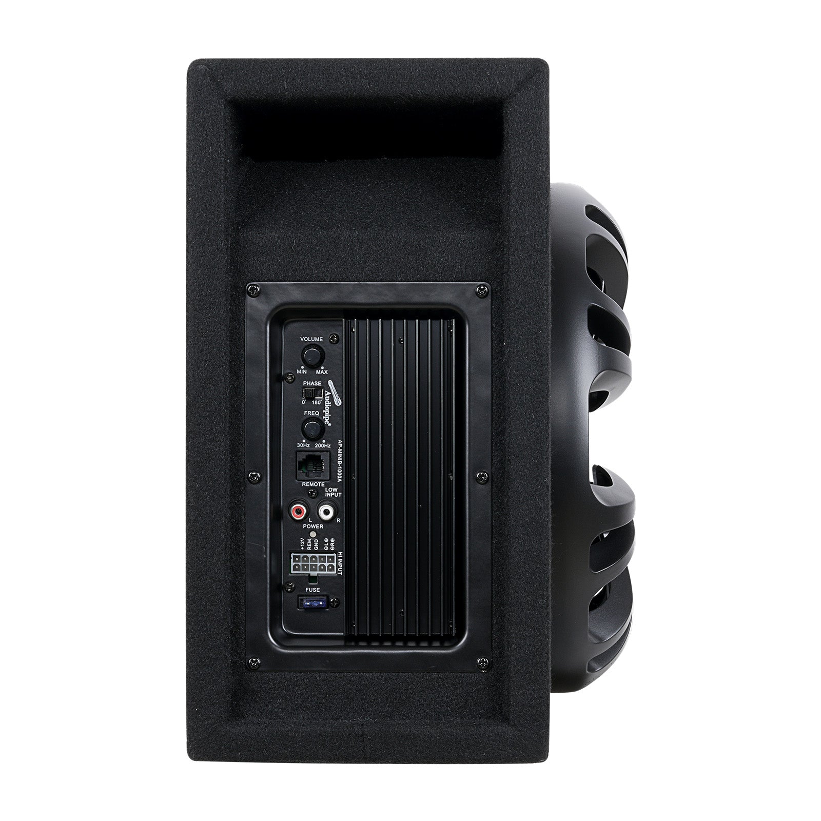 AP-MINIB-1000A Single Ported Bass Enclosure
