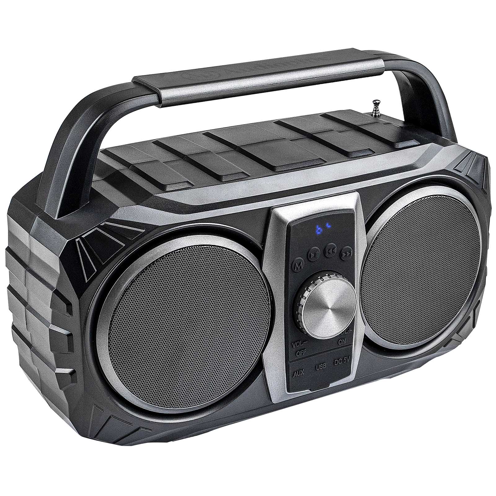 Portable Radio with Wireless Music Stream (AP-PRT-B1)