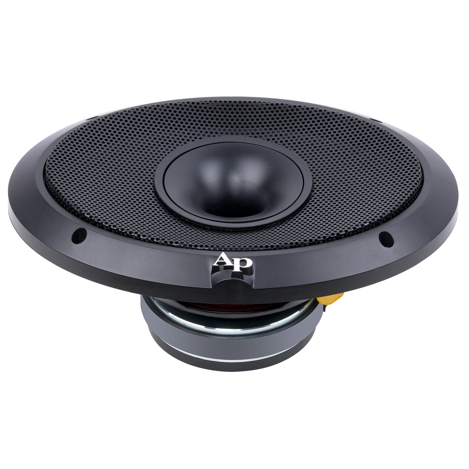 6 X 9" Compression Horn Mid-range Loudspeaker (APMB-698G-CHF)
