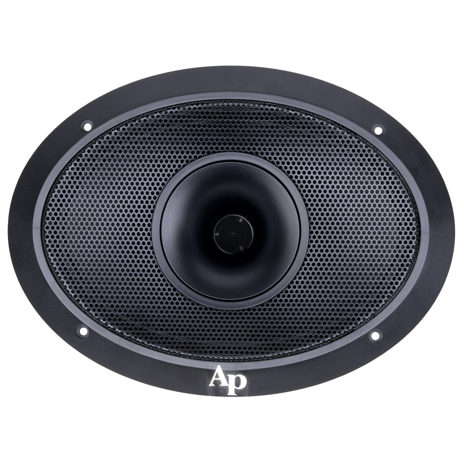 6 X 9" Compression Horn Mid-range Loudspeaker (APMB-698G-CHF)