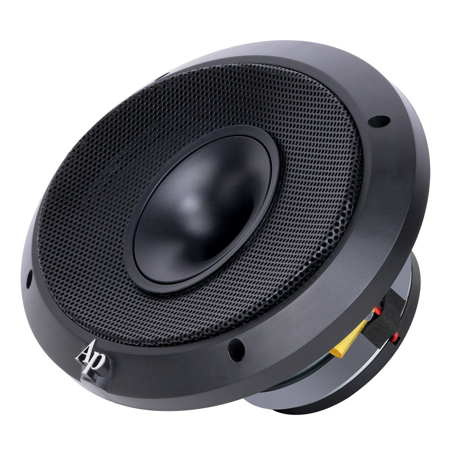 6 X 9" Compression Horn Mid-range Loudspeaker (APMB-698G-CHF)