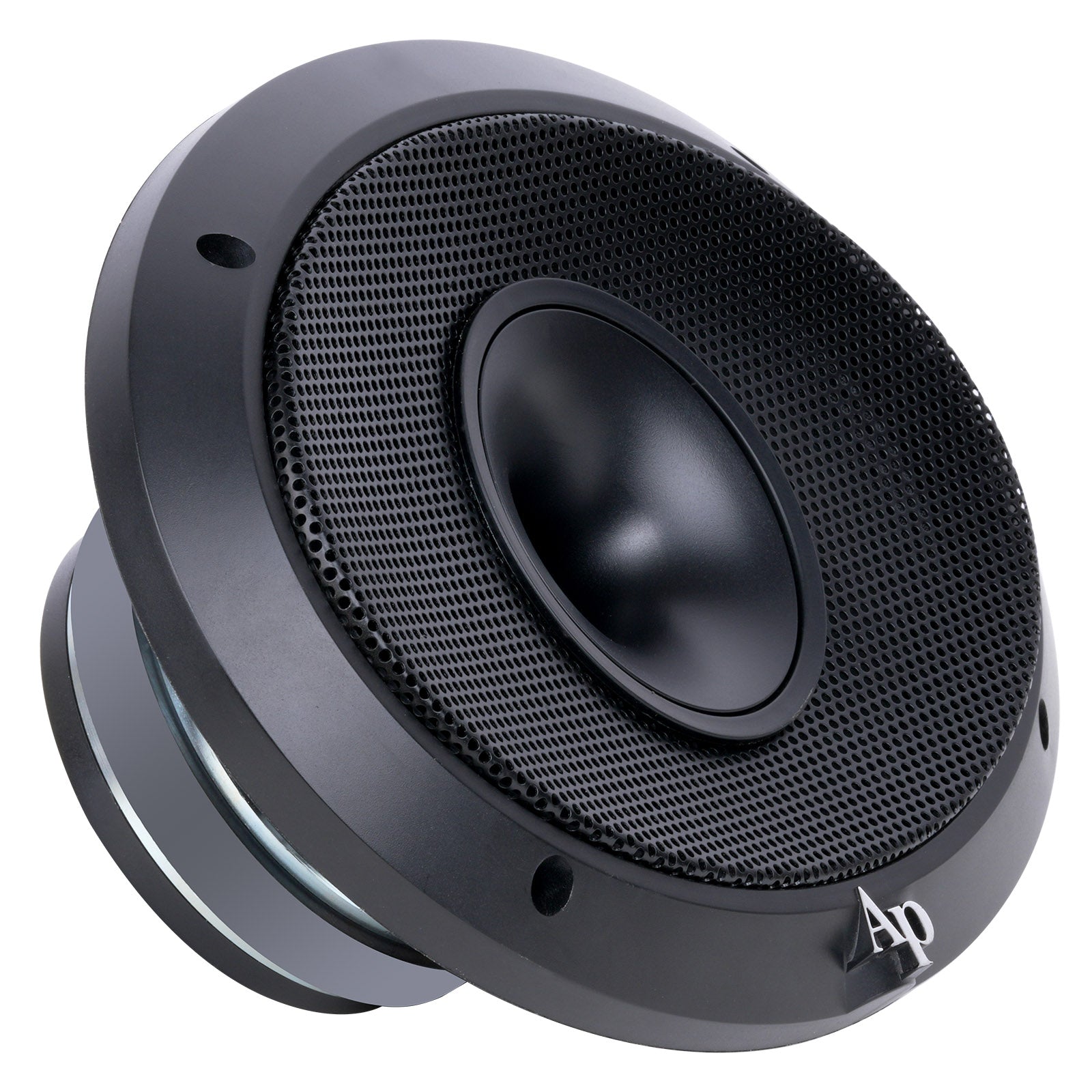 6 X 9" Compression Horn Mid-range Loudspeaker (APMB-698G-CHF)