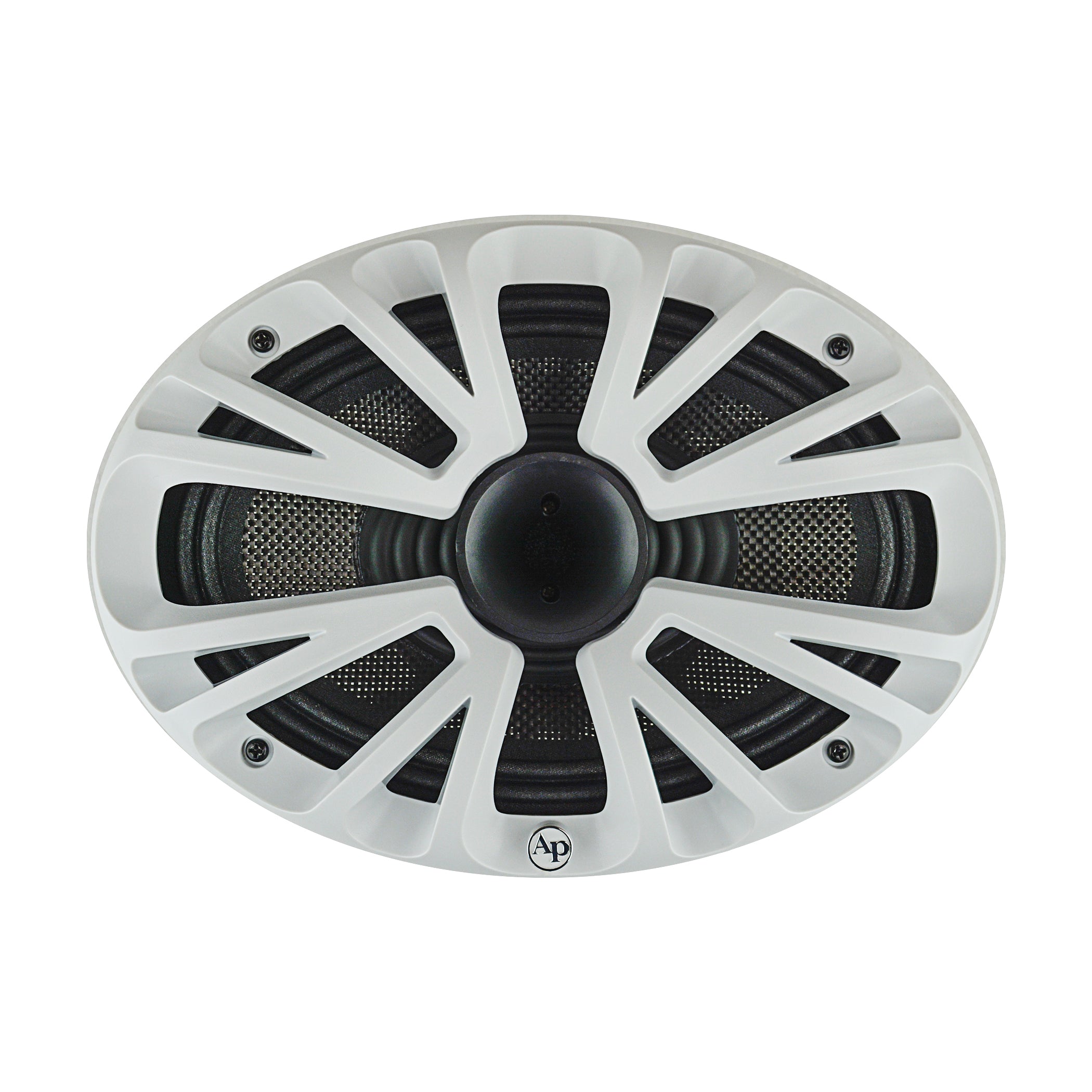 Compression Horn Midrange loudspeaker (APMP-6923CHF)