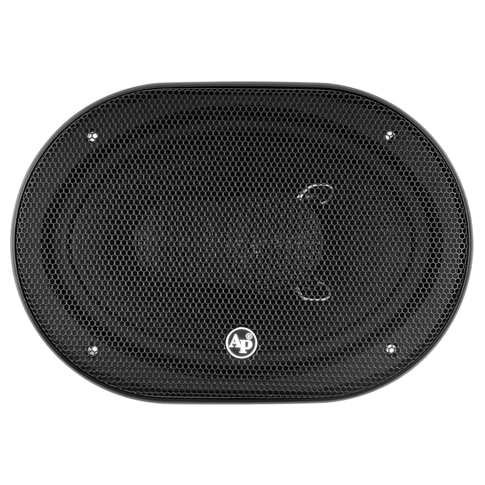 6” X9” 3-Way Car Speaker (CSE-6903T)