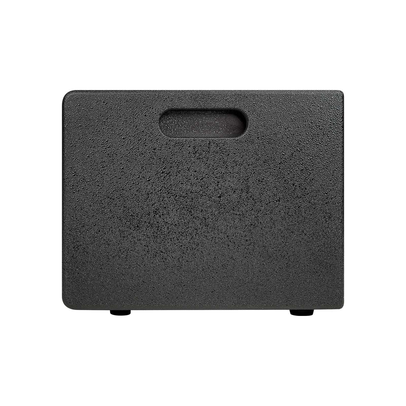 10" Professional Active Subwoofer (DJAP-SUB1001)
