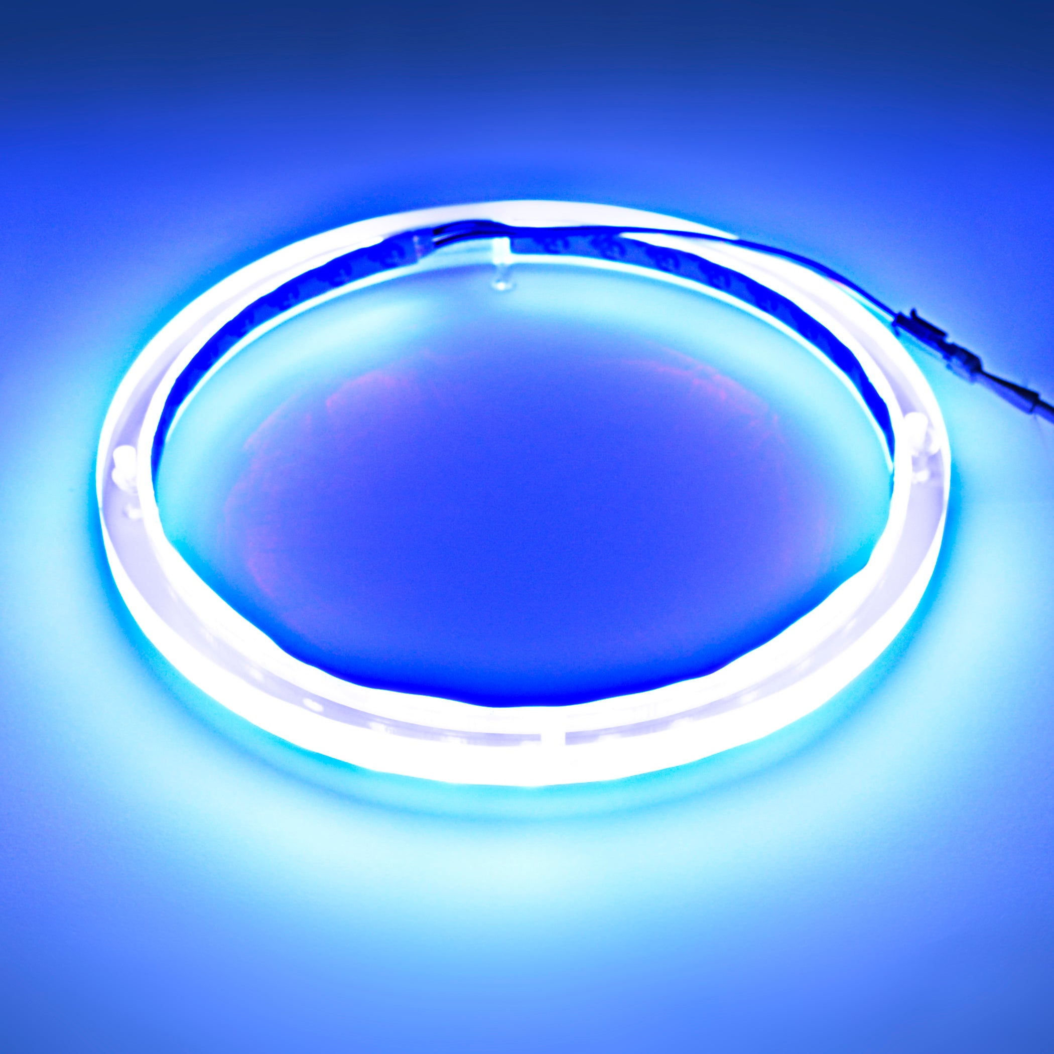 12" RGB LED Speaker Rings (NL-RIAPMP-12RGB)
