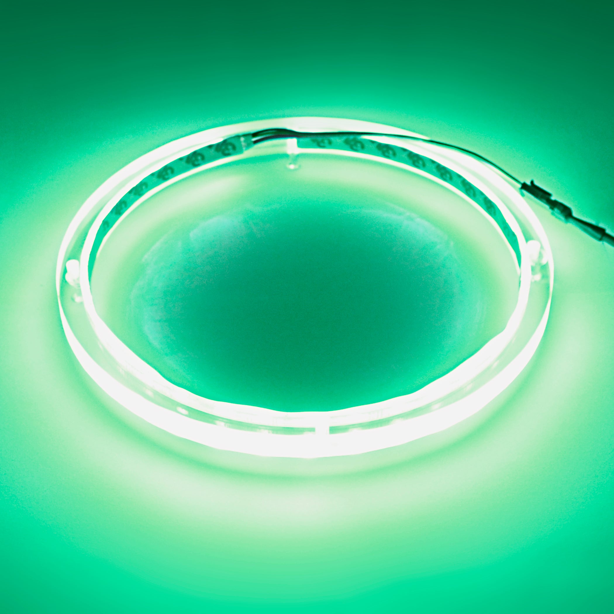 12" RGB LED Speaker Rings (NL-RIAPMP-12RGB)