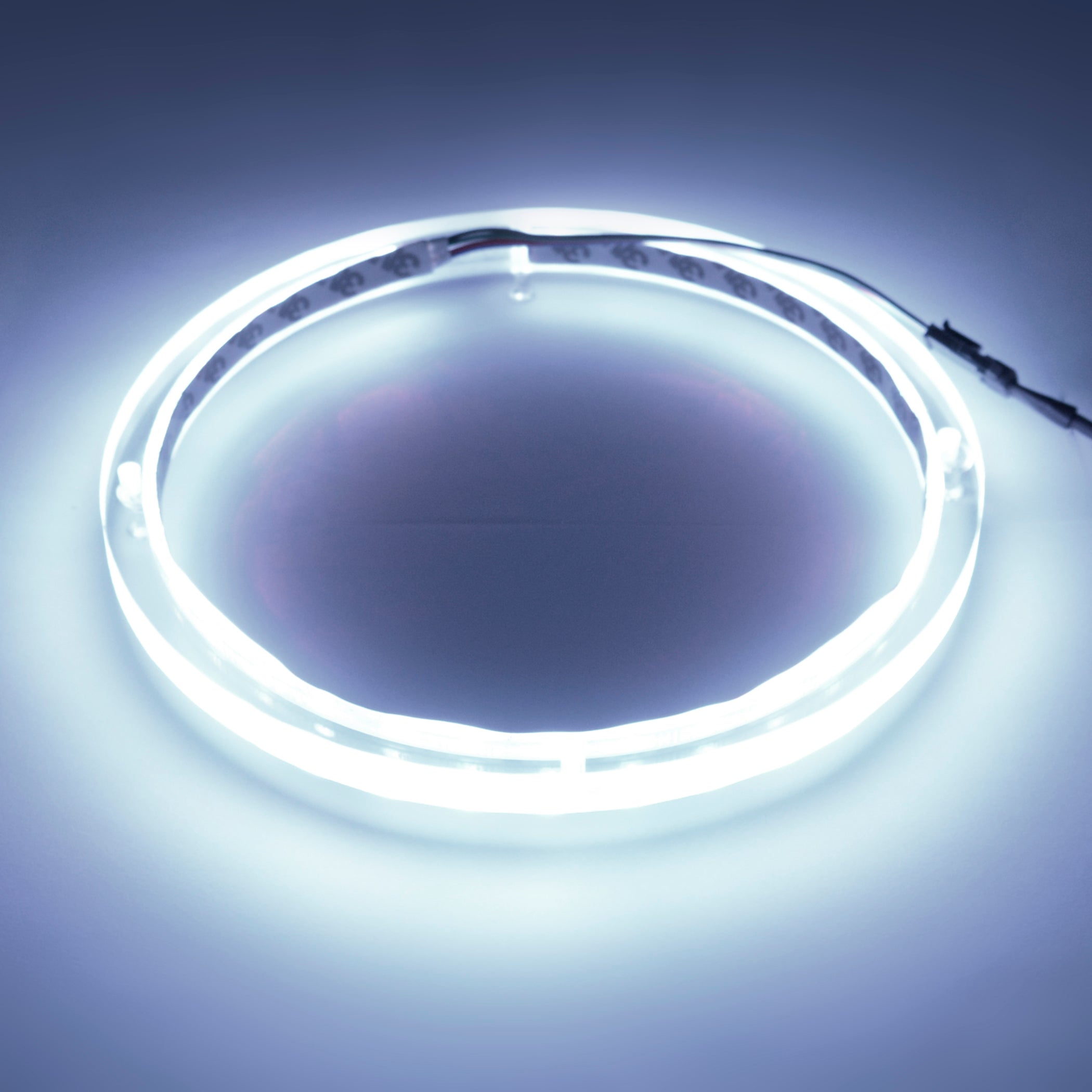 8" RGB LED Speaker Rings (NL-RIAPMP-8RGB)