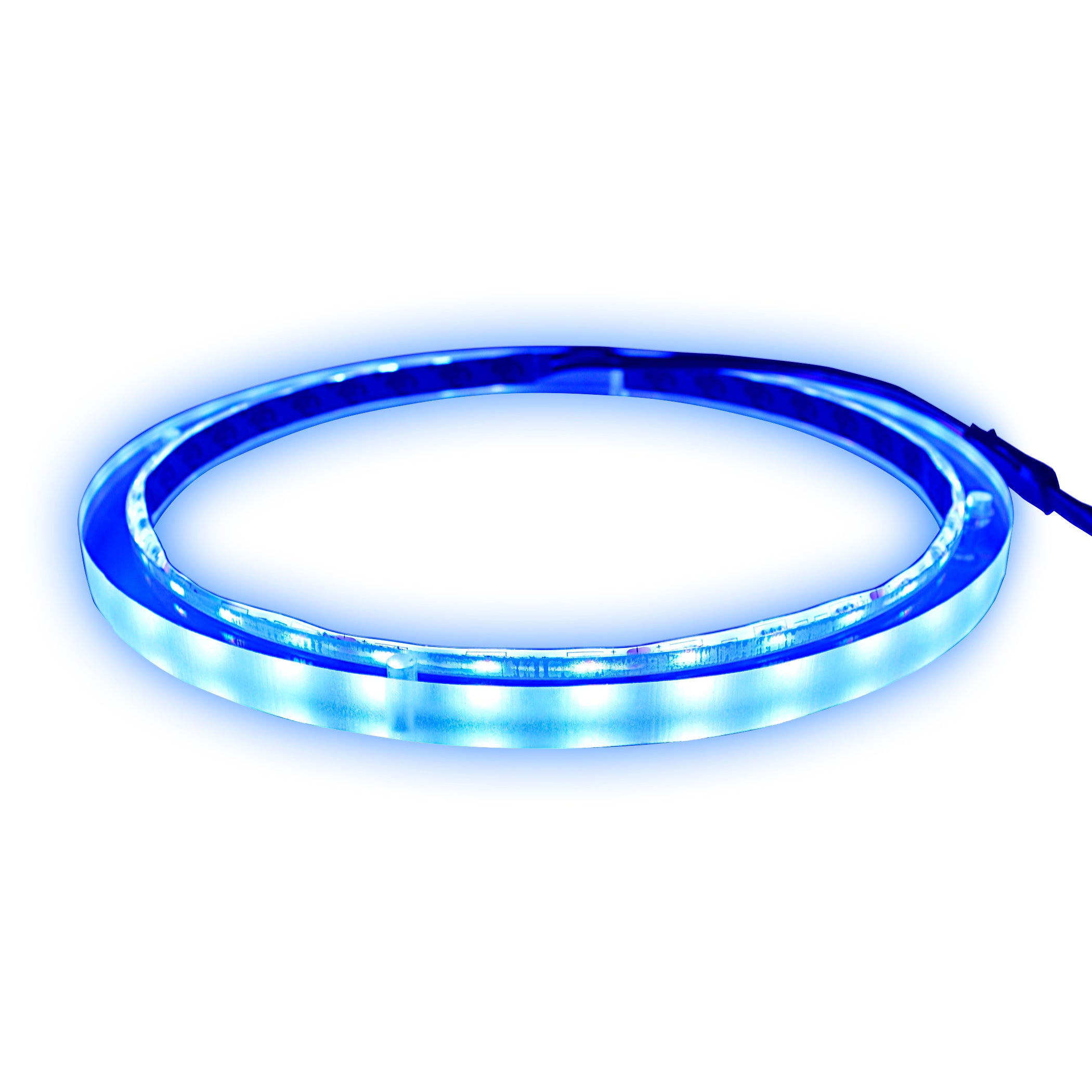 8" RGB LED Speaker Rings (NL-RIAPMP-8RGB)