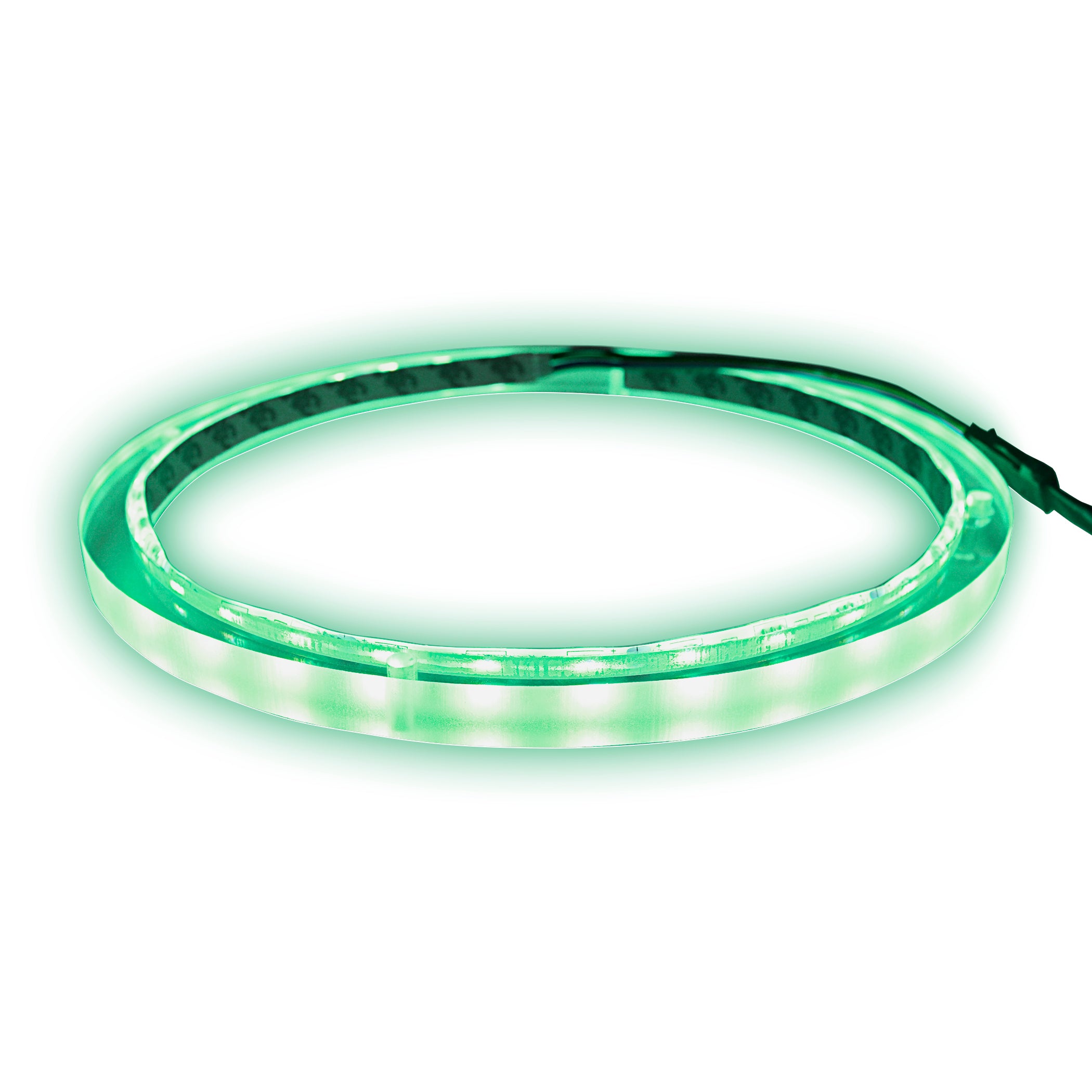 8" RGB LED Speaker Rings (NL-RIAPMP-8RGB)