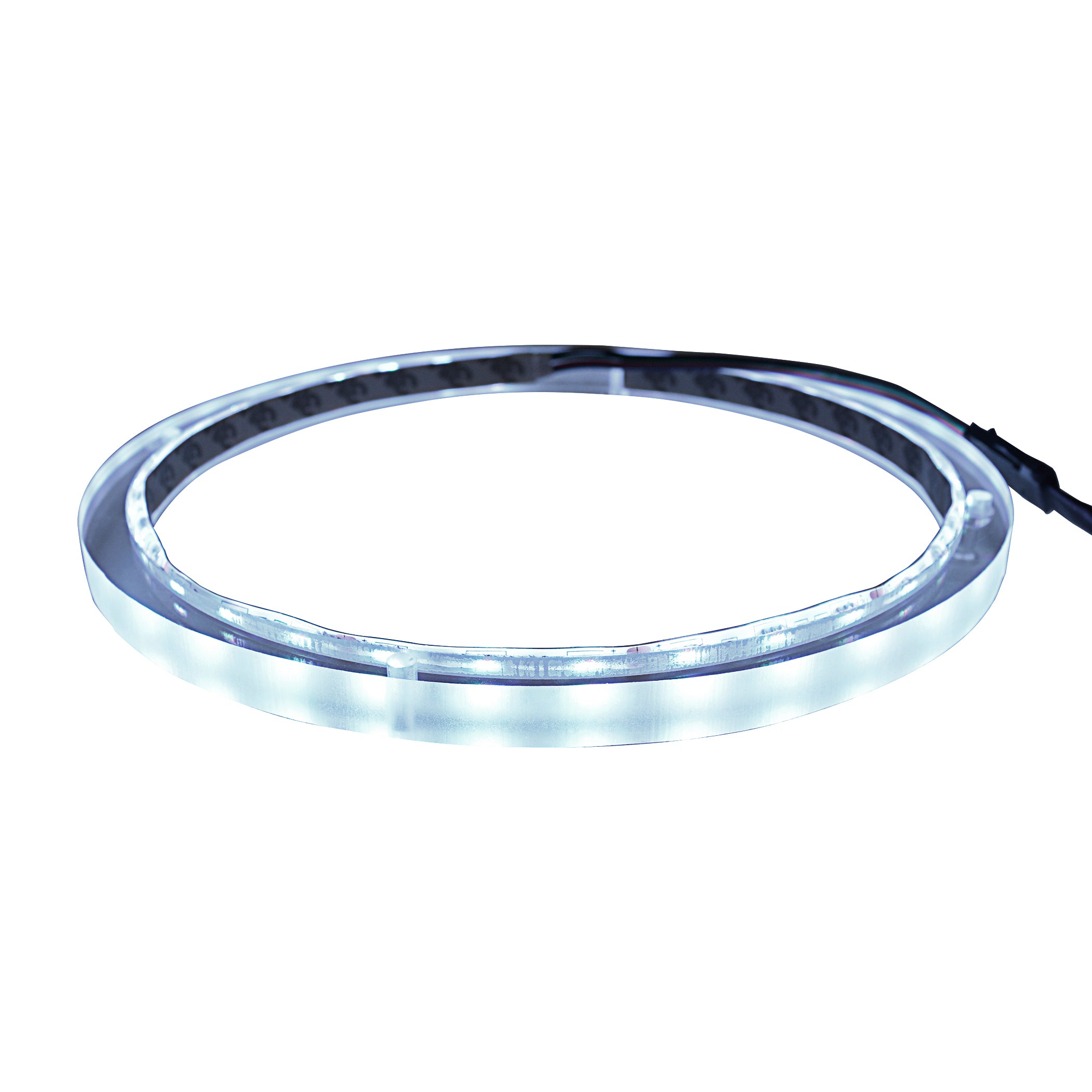 12" RGB LED Speaker Rings (NL-RIAPMP-12RGB)