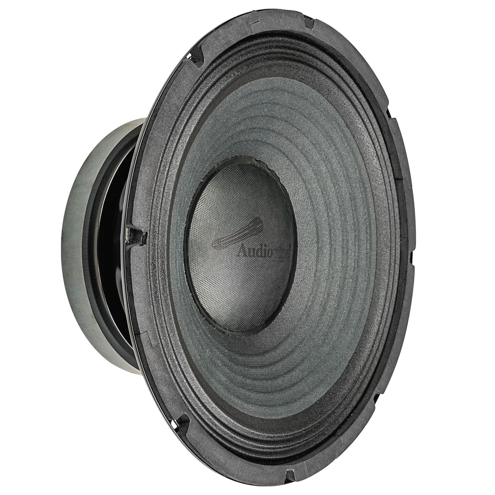 12" Professional Public Address Woofer (NWA-1283)