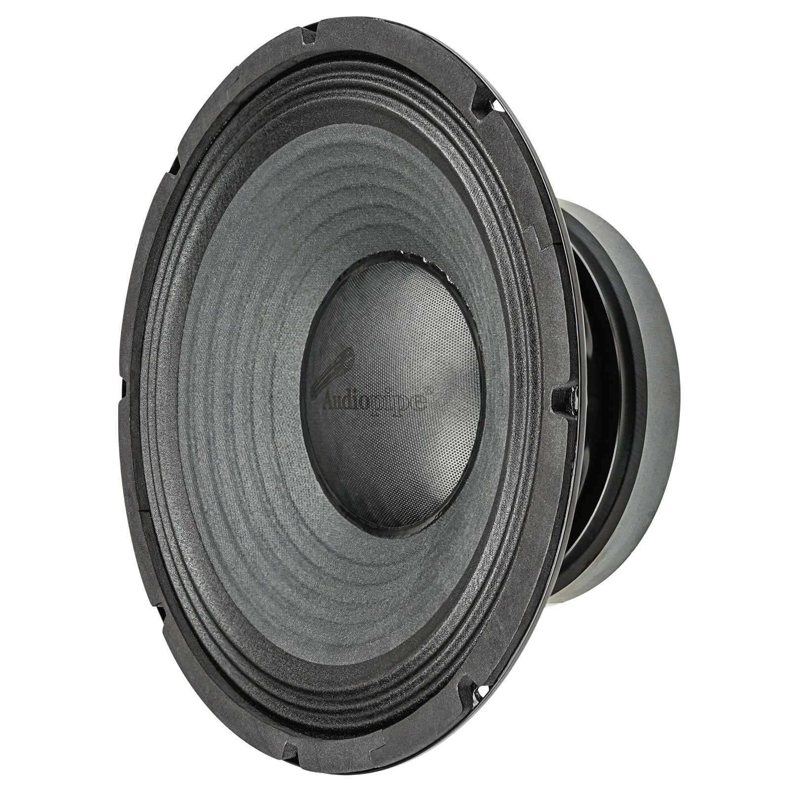 12" Professional Public Address Woofer (NWA-1283)