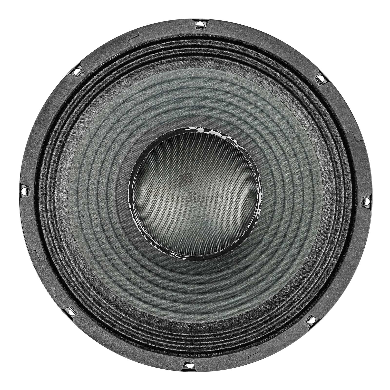 12" Professional Public Address Woofer (NWA-1283)
