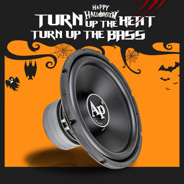 12” Car Subwoofer (TS-PP3-12-D4)