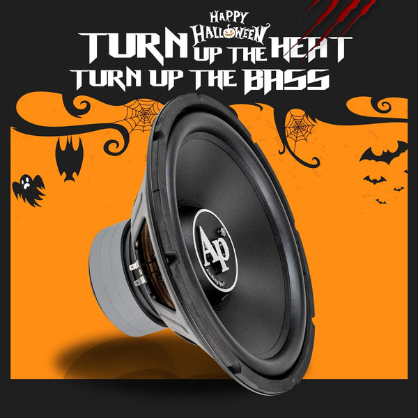 15” Car Subwoofer (TS-PP3-15-D4)