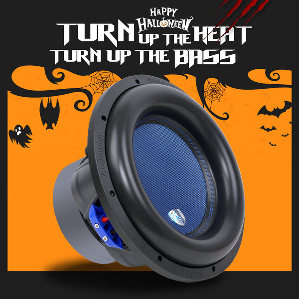 12” Double Stack High Power Subwoofer (TXX-BDD2-12)