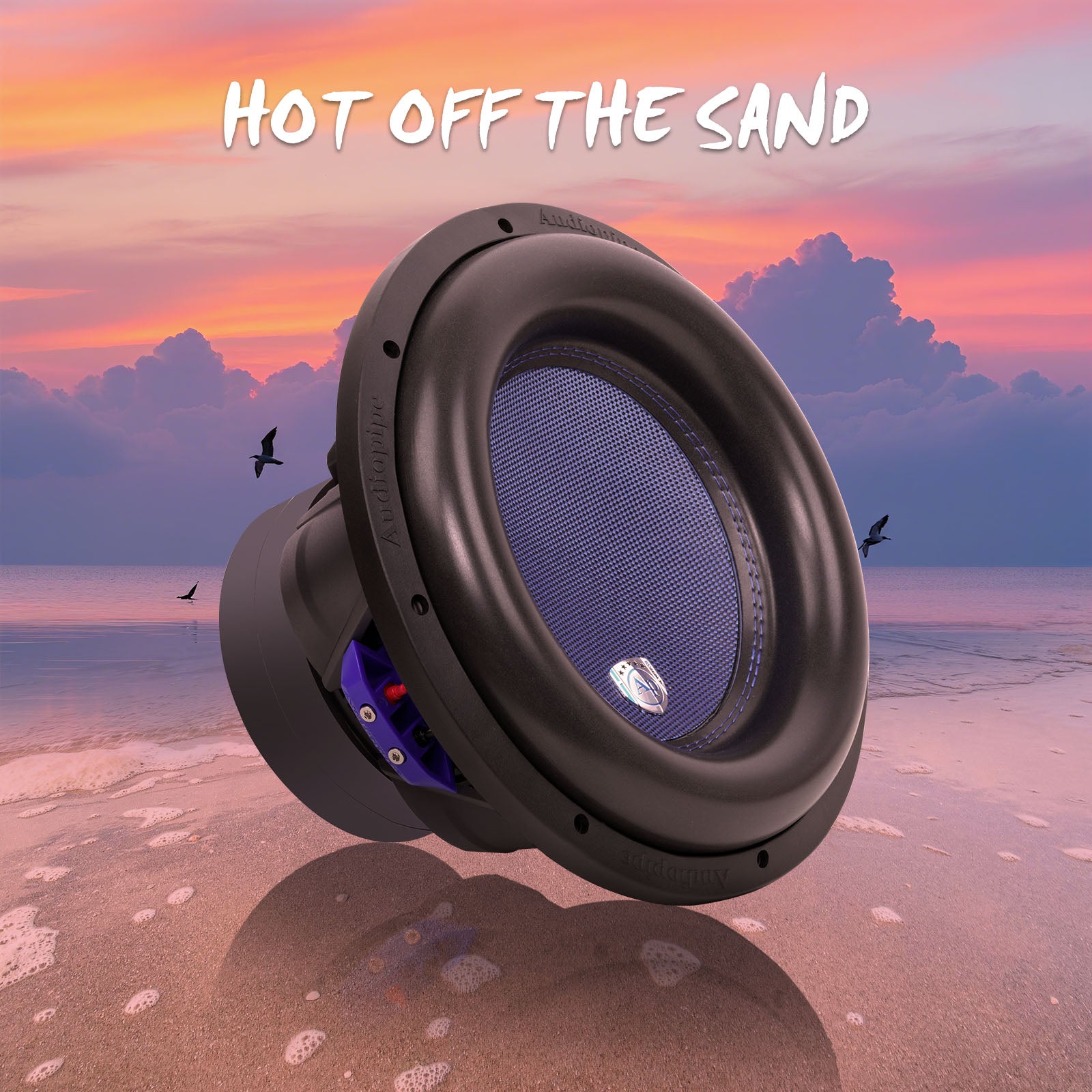 12” Double Stack High Power Subwoofer (TXX-BDD2-12)