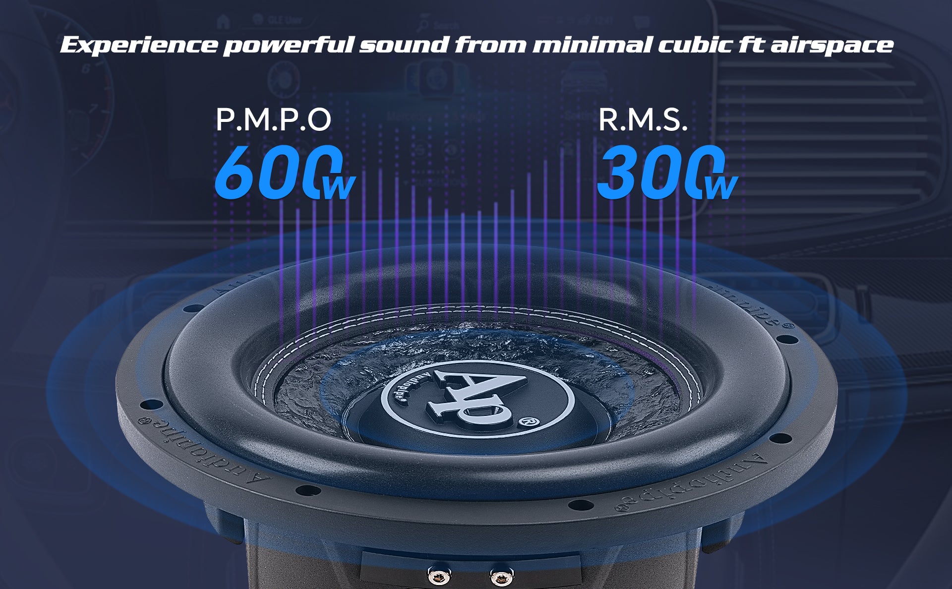 10" Shallow Mount Subwoofer (TXX-FB1000)