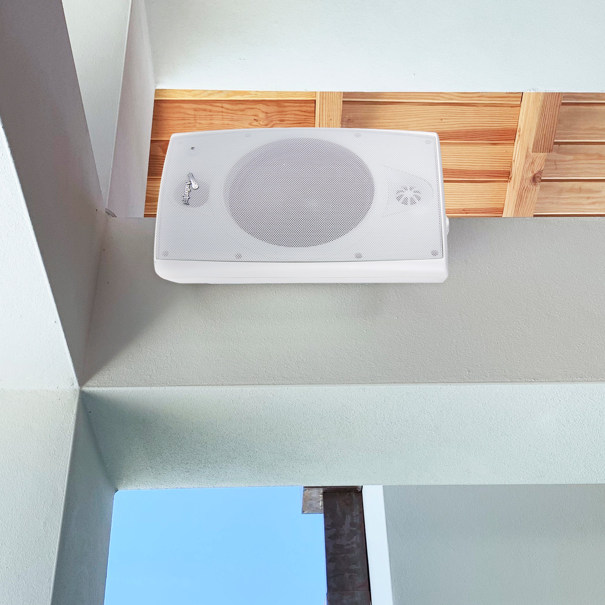 ODP-800WH - Indoor/Outdoor Speaker