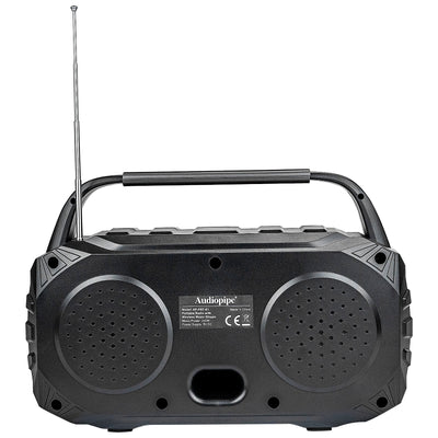 Portable Radio with Wireless Music Stream (AP-PRT-B1)