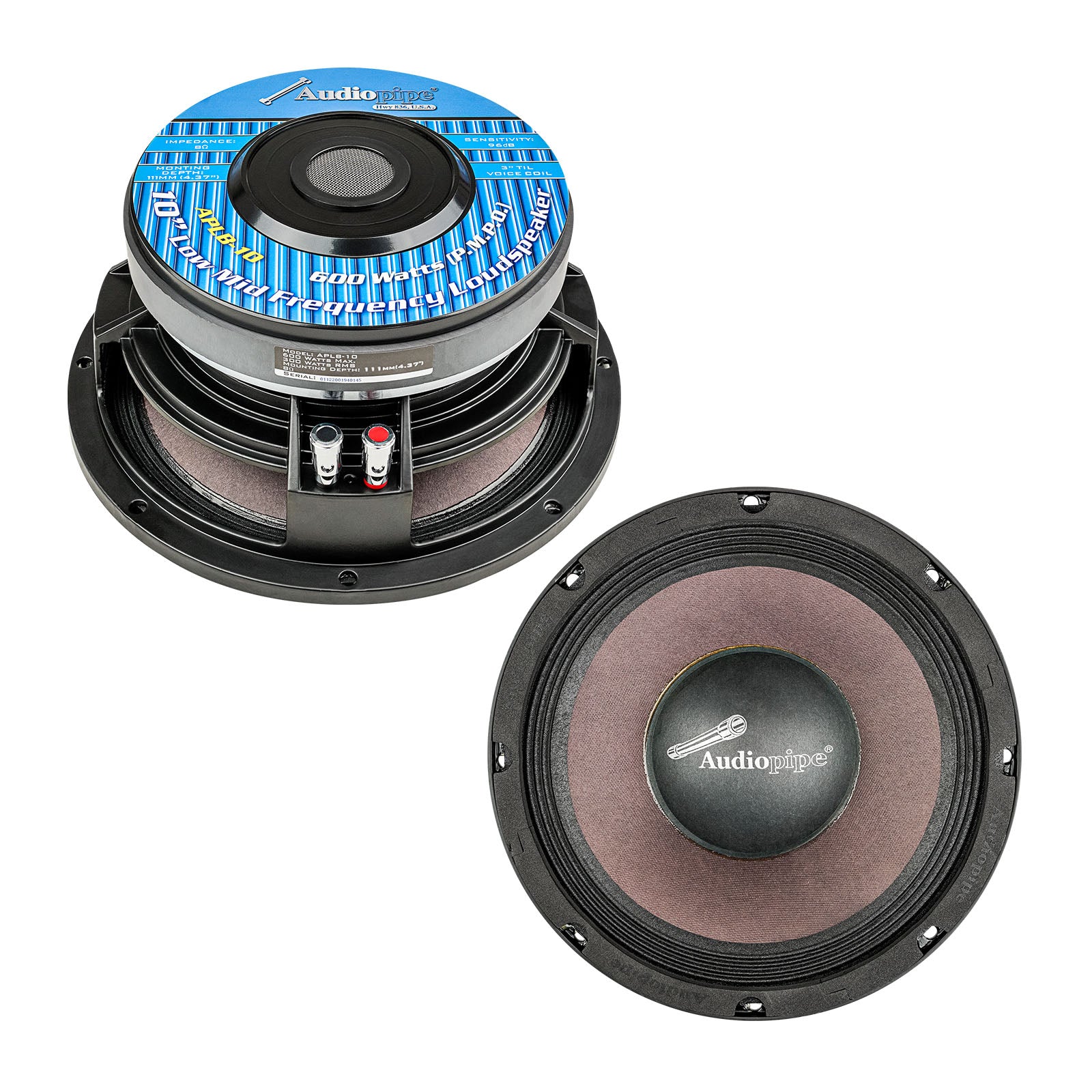 APLB-10 Pro Audio Subwoofer