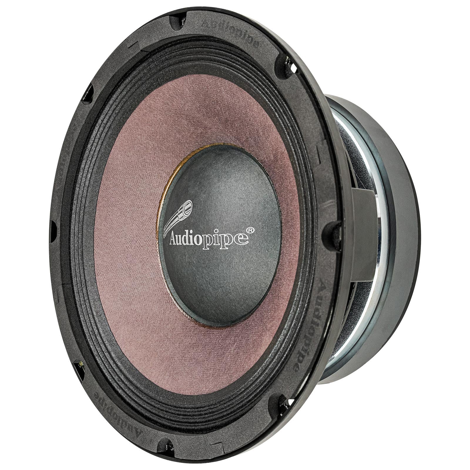 APLB-10 Pro Audio Subwoofer