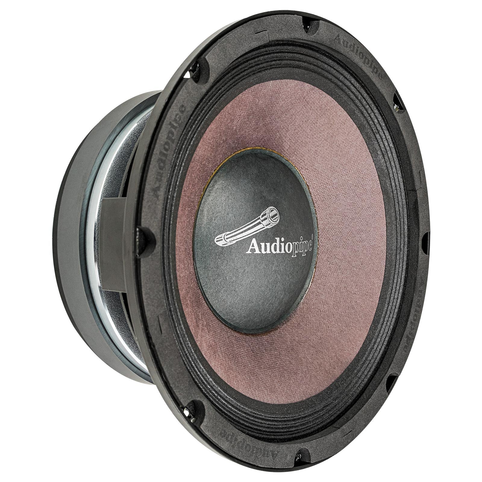 APLB-10 Pro Audio Subwoofer