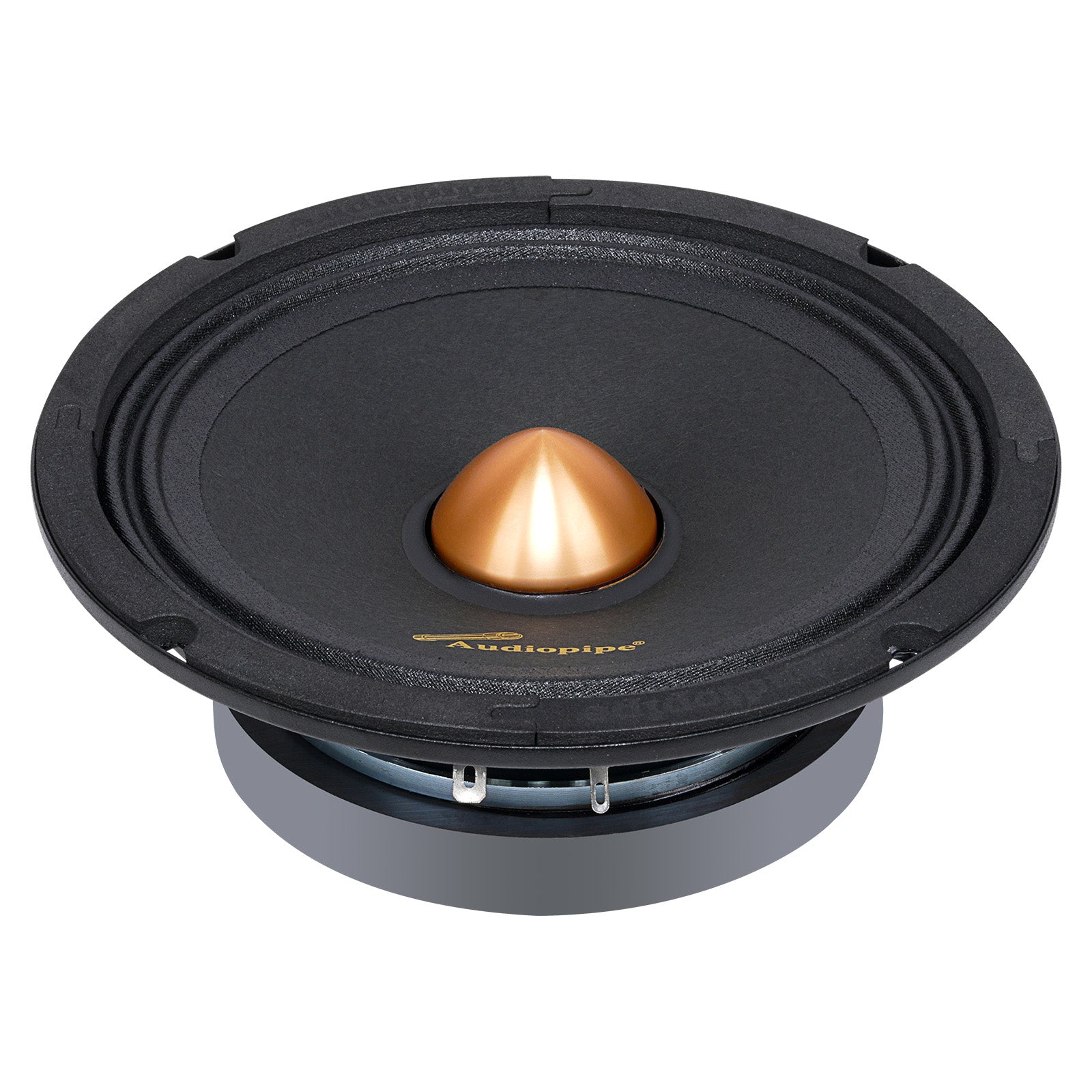 6” Low Mid Frequency Loudspeaker (APMB-628PG)