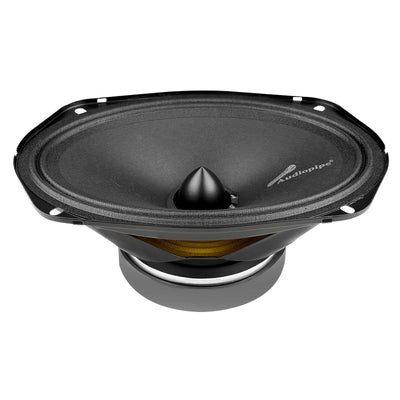 6 x 9" Low Mid Frequency Loudspeaker (APMB-6900-E)