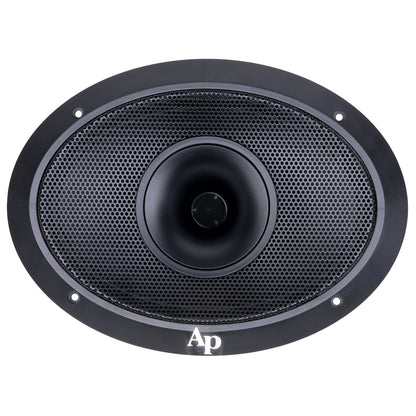 6 X 9" Compression Horn Mid-range Loudspeaker (APMB-698G-CHF)