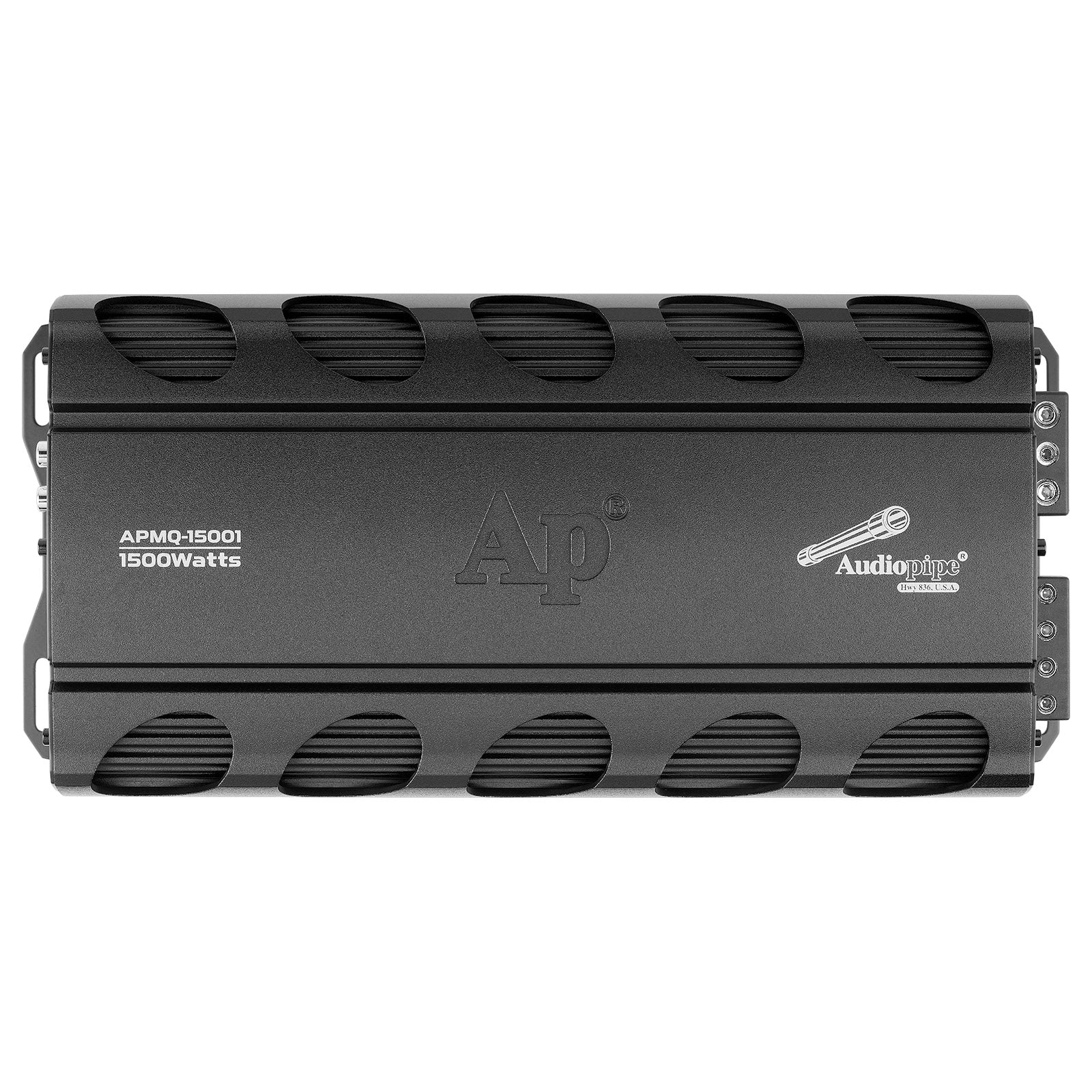 Mini Design Class D Mono Mosfet Amplifier (APMQ-15001)