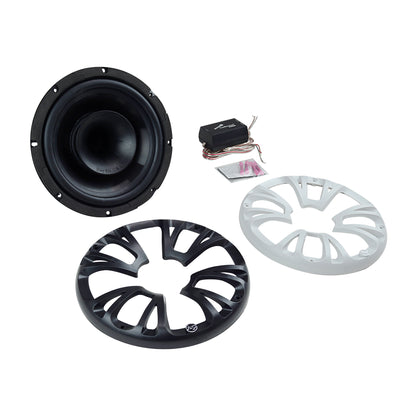 8” Weatherproof Speaker with Built Compression Driver (APMS-T836H)