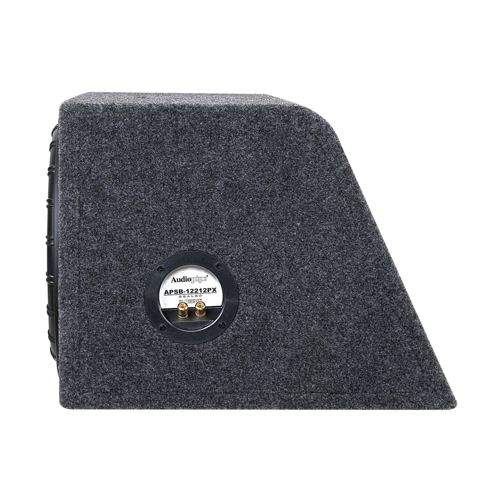 APSB-12212PX - Double 12” High-Performance Compact Enclosure