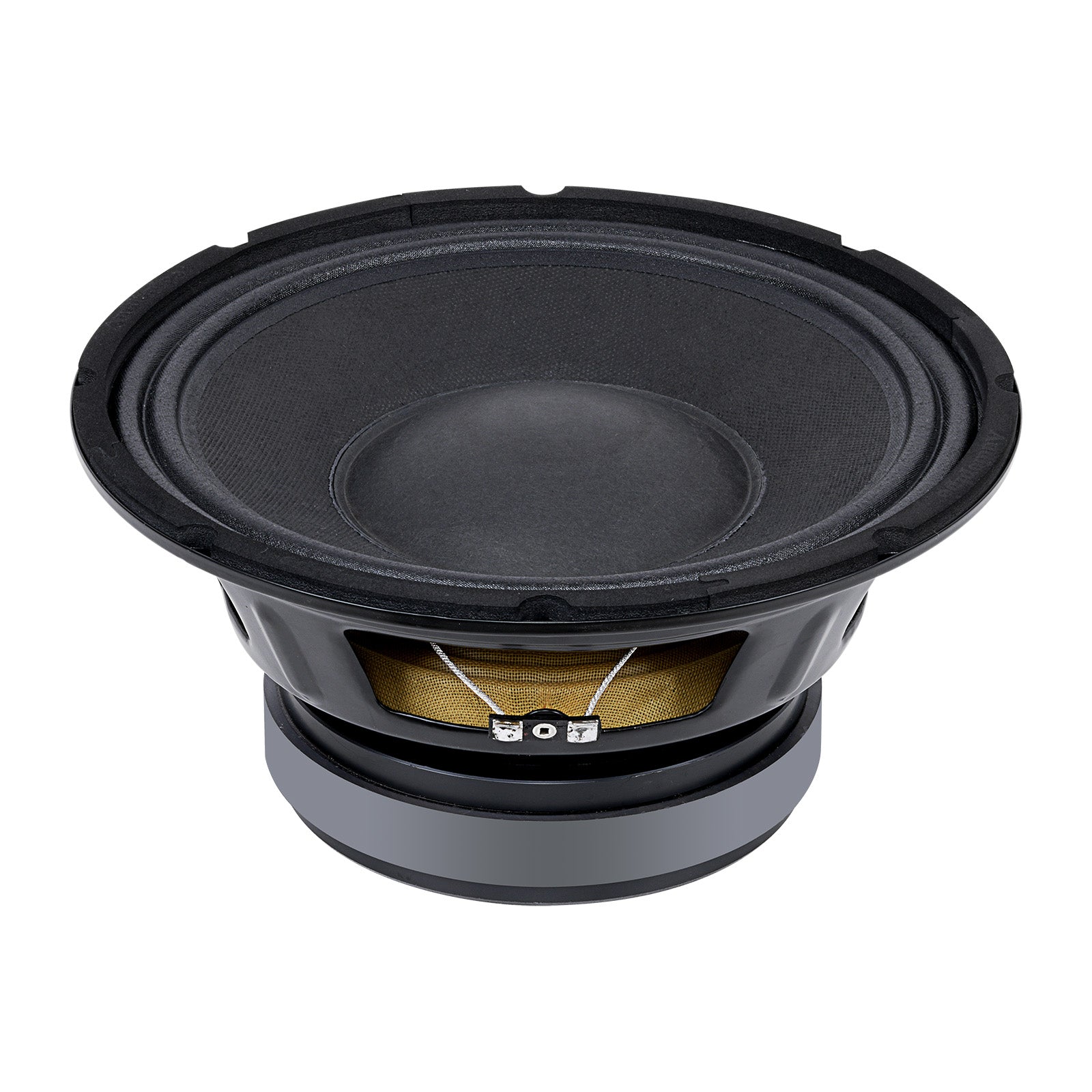 8” Dynamic Loudspeaker (APSP-1050)