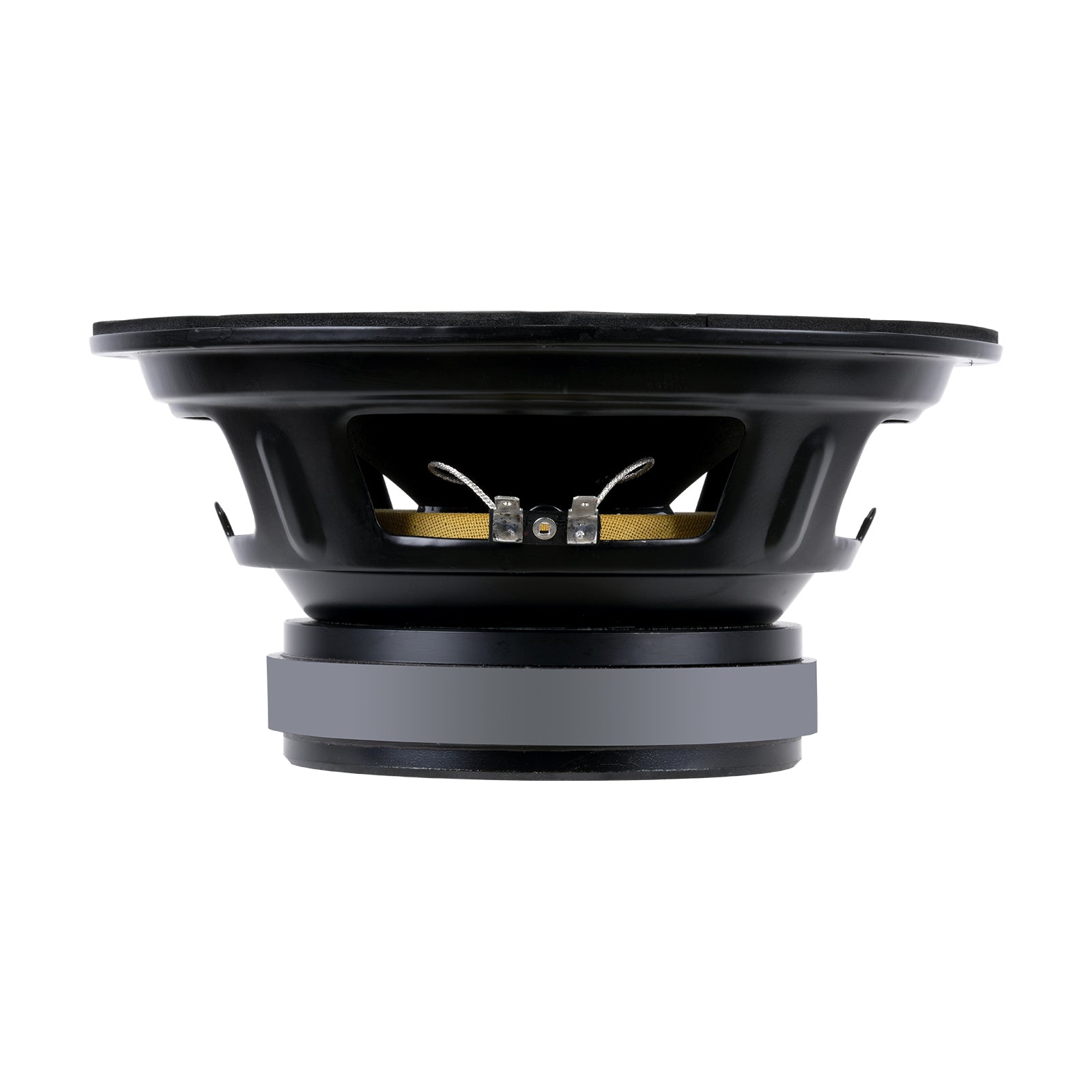 8” Dynamic Loudspeaker (APSP-1050) – Audiopipe