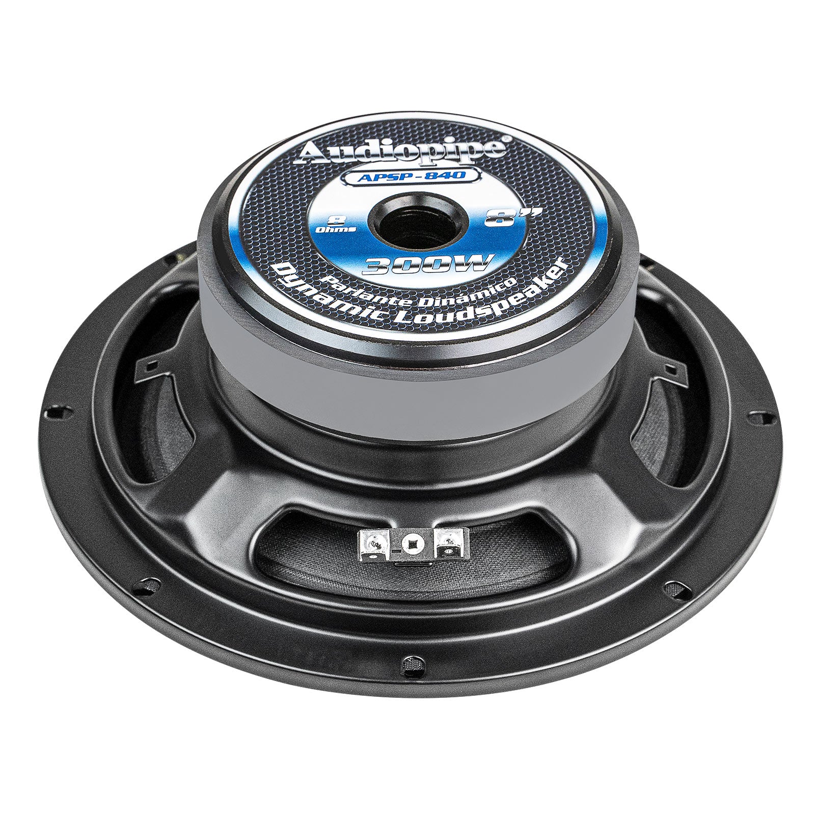 8” Dynamic Loudspeaker (APSP-840)