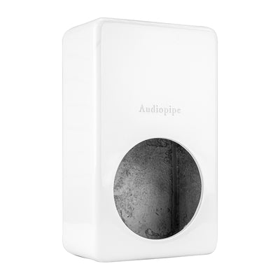 APSW-62GM Fiberglass Speaker Box