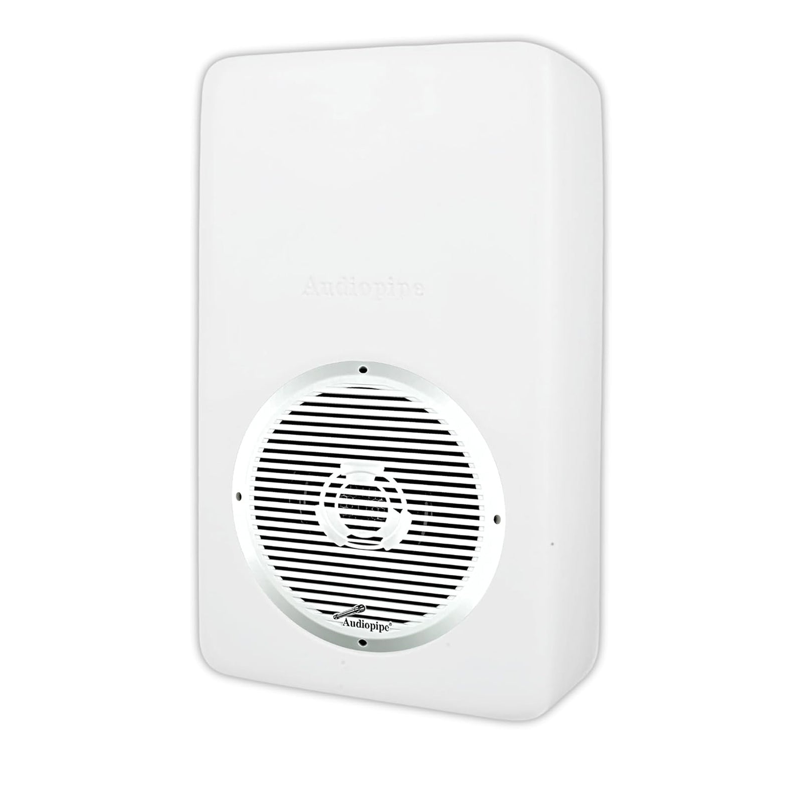 Fiberglass Speaker Box (APSW-62GM)