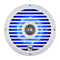 Audiopipe 8” Coaxial 2-Way Marine Speaker with LED lights (APSW-804GL) 2024 SALT WATER SERIES