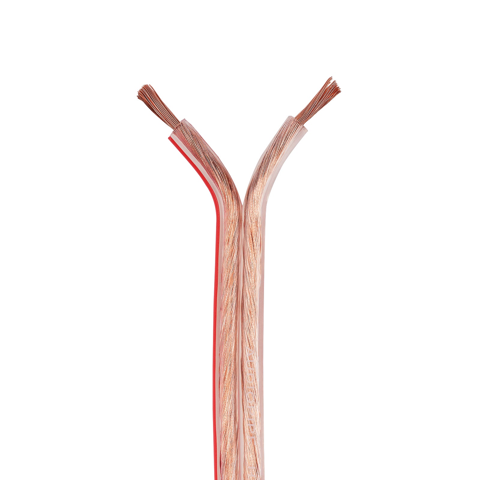 25FT 12AWG Speaker Cable (CABV-12-25CLR)