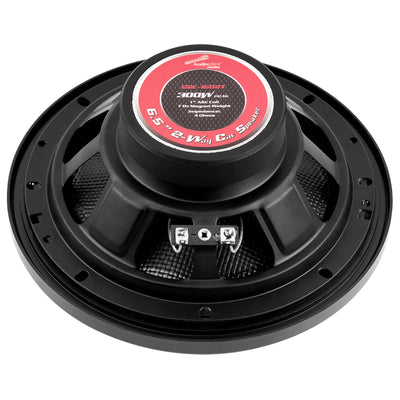 6.5” 2-Way Car Speaker (CSE-1602T)