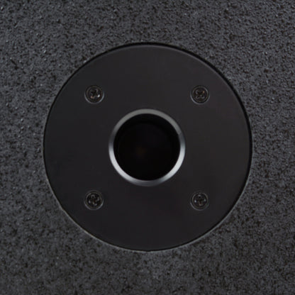 10" Professional Active Subwoofer (DJAP-SUB1001)