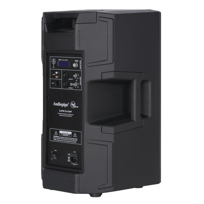2-Way Professional Active Loudspeaker (DJPW-X12-DSP)