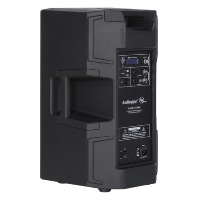 2-Way Professional Active Loudspeaker (DJPW-X12-DSP)