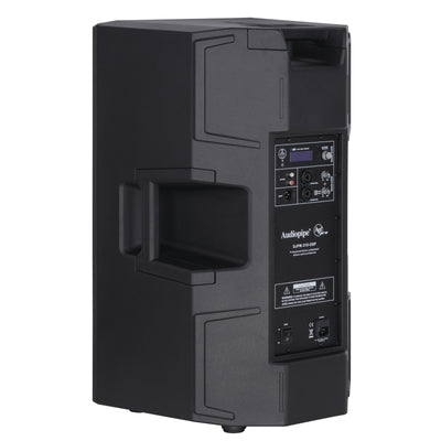 2-Way Professional Active Loudspeaker (DJPW-X15-DSP)