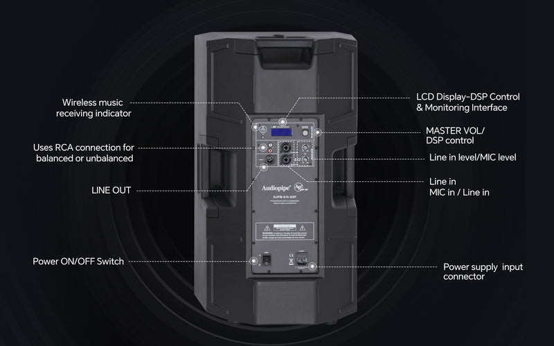 12" 2-Way Professional Active Loudspeaker ( DJPW-X12-DSP)