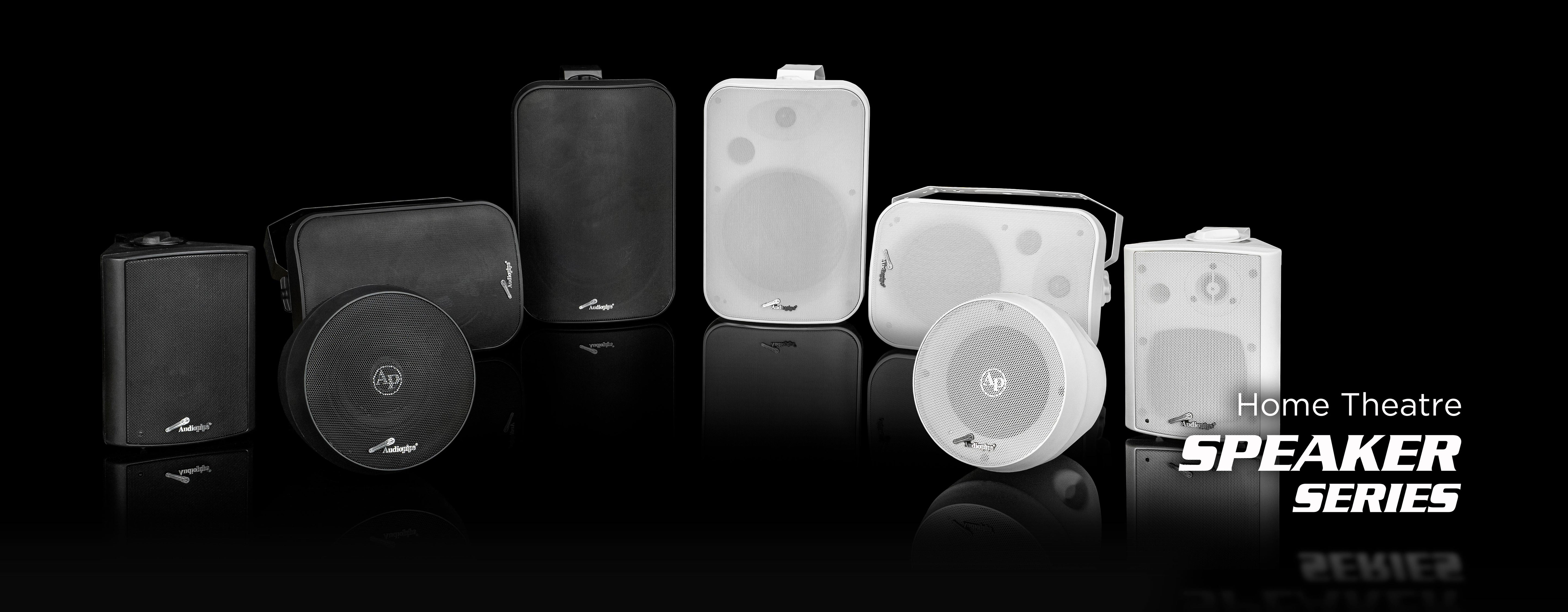 Indoor/Outdoor Speakers