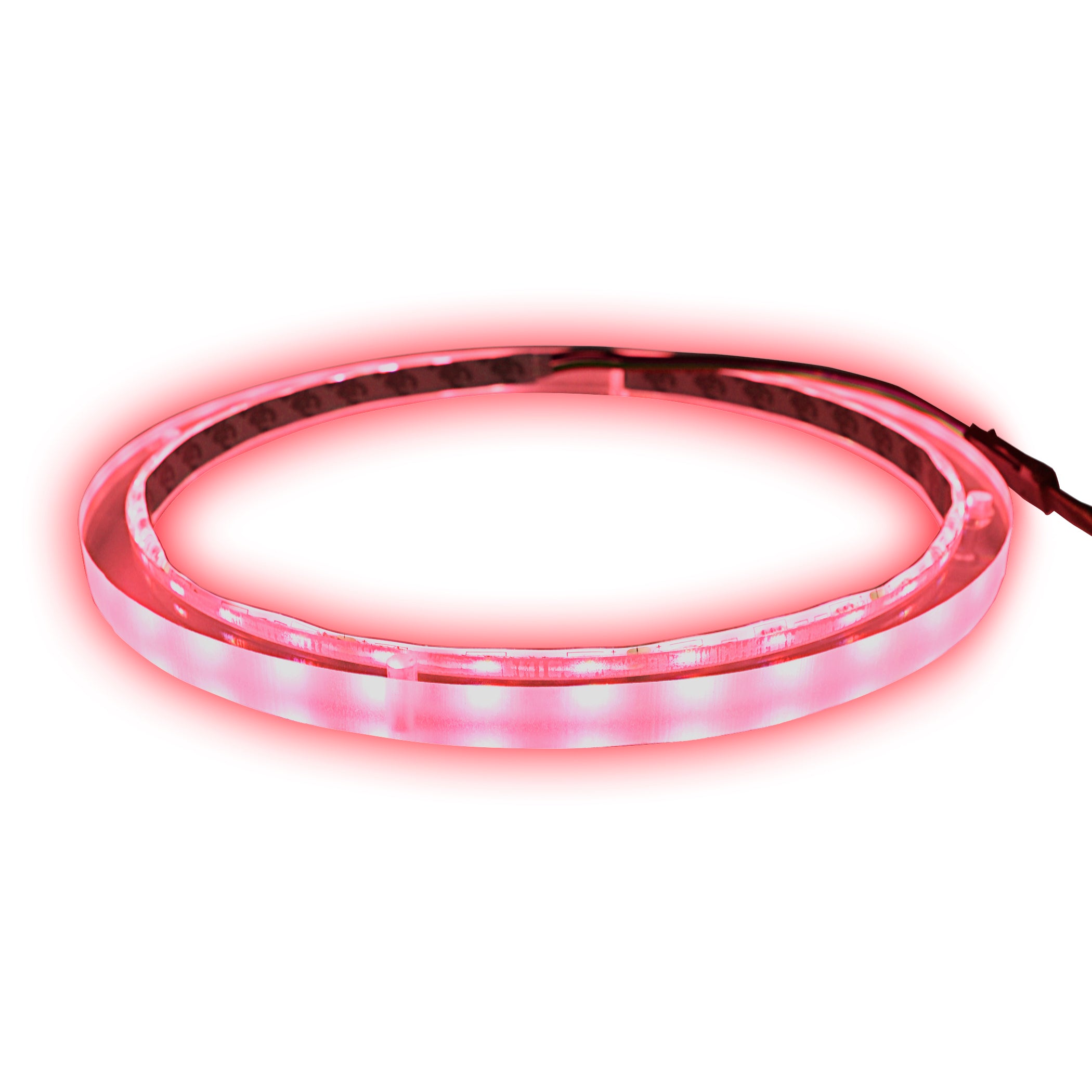 8" RGB LED Speaker Rings (NL-RIAPMP-8RGB)