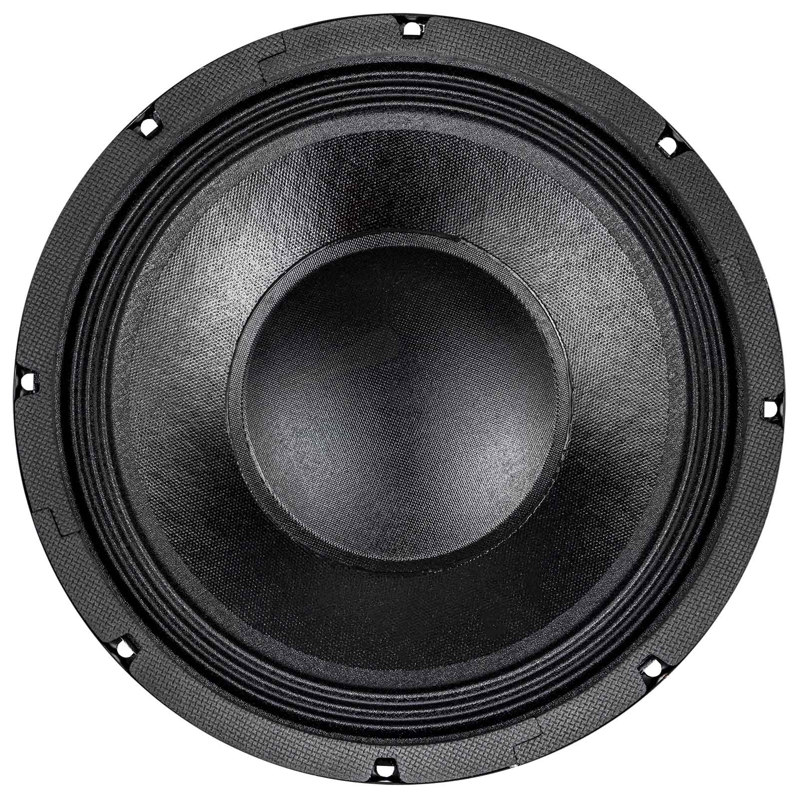 10" Professional Public Address Woofer (NWA-1060-4)